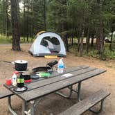 Review photo of Thompson Falls State Park Campground by Tom K., August 25, 2019