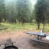 Review photo of Thompson Falls State Park Campground by Tom K., August 25, 2019