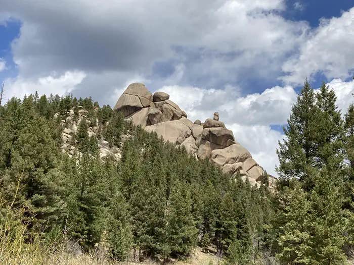 Camper submitted image from Rampart Range Recreation Area Designated Dispersed Camping — Psicc - 1