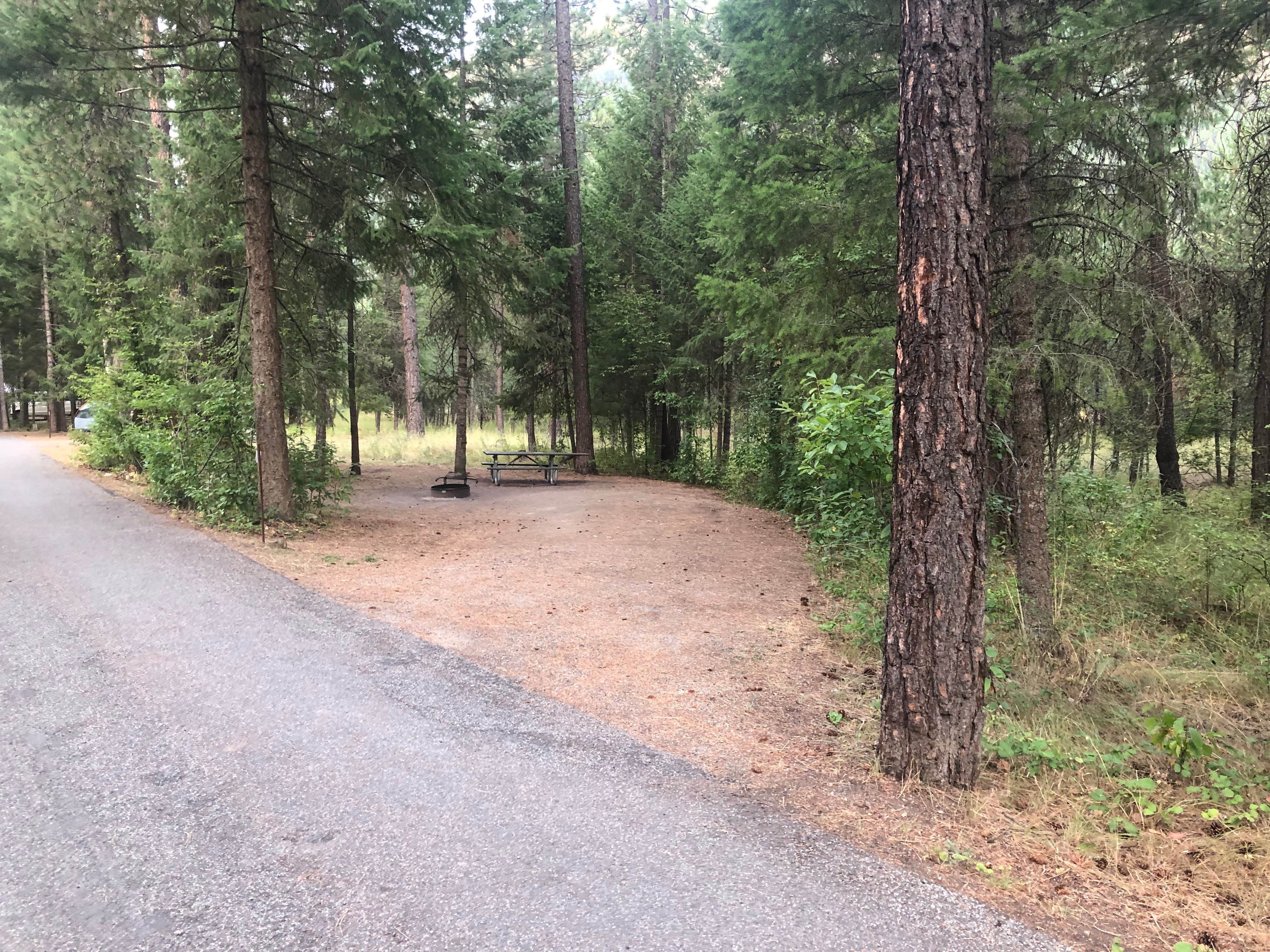 Camper-submitted photo at Thompson Falls State Park Campground near Saltese, MT