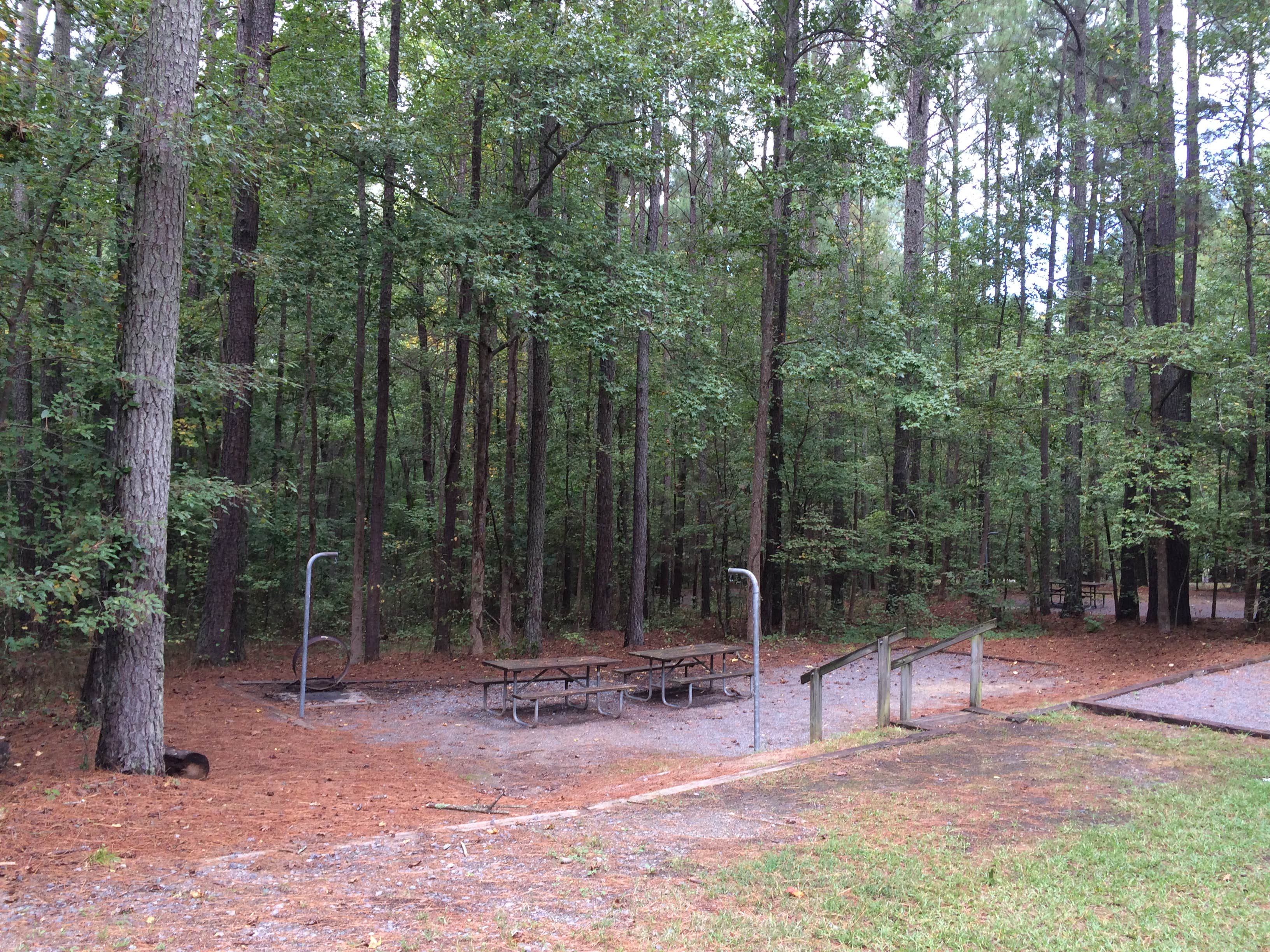 Camper submitted image from Crosswinds Campground — Jordan Lake State Recreation Area - 2
