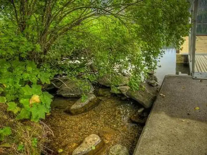 Camper-submitted photo at Blue Bay near Terrebonne, OR