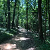 Review photo of Westmoreland State Park Campground by RL , August 25, 2019