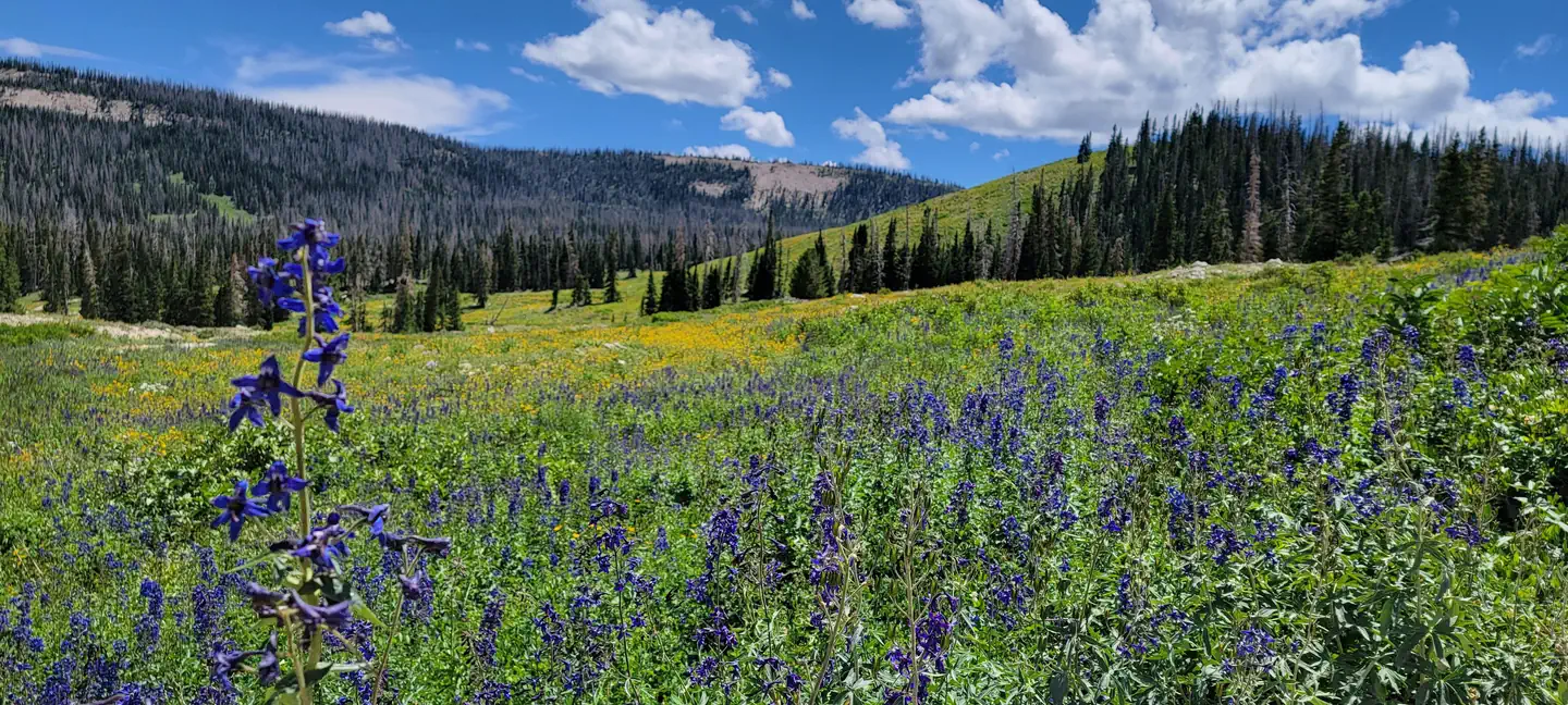 Camper-submitted photo at Ferron Reservoir Campground — Manti La Sal National Forest near Emery, UT