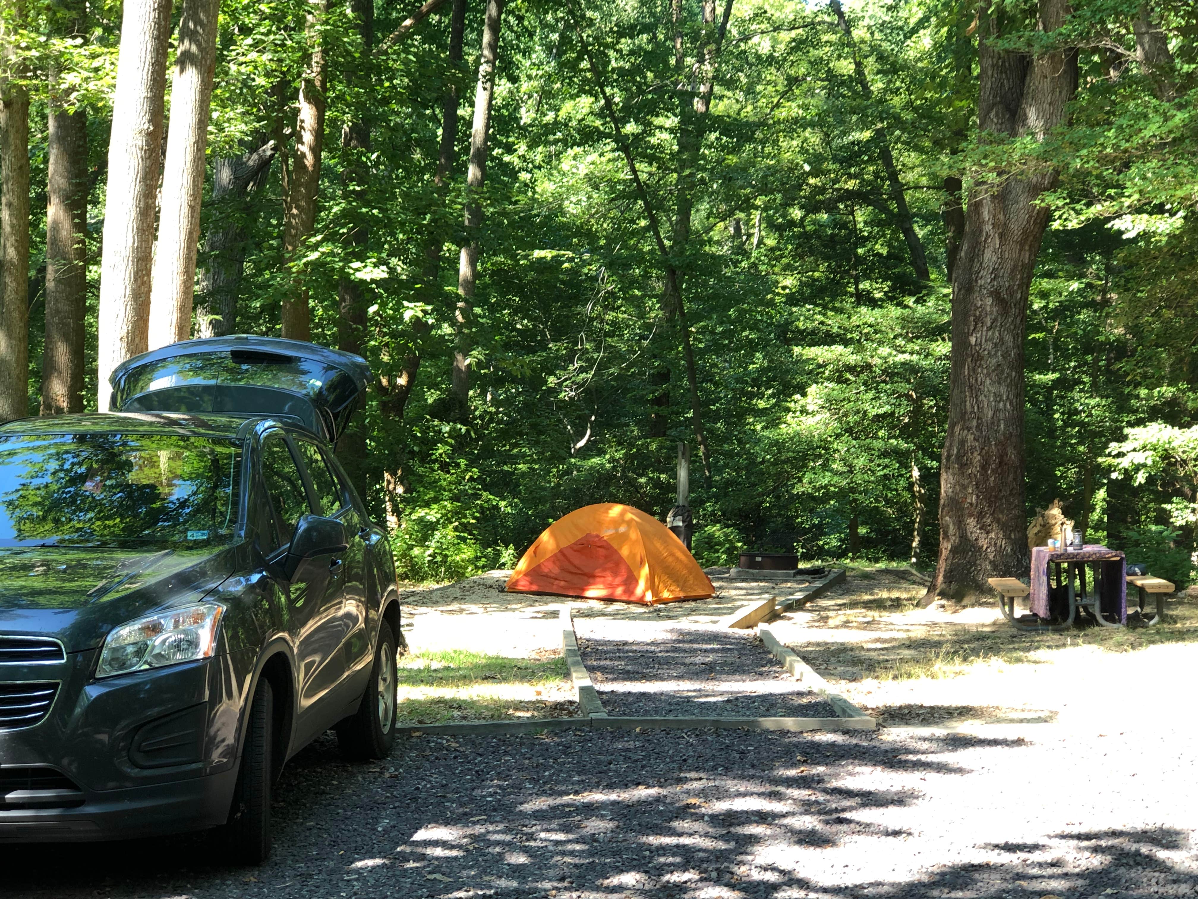 RL's photo at Westmoreland State Park Campground near Patuxent River, MD