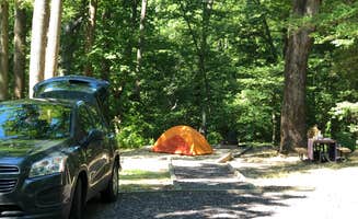 RL's photo at Westmoreland State Park Campground near Broomes Island, MD