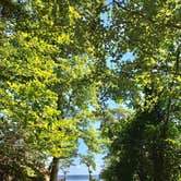 Review photo of Westmoreland State Park Campground by RL , August 25, 2019