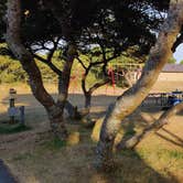Review photo of Nehalem Bay State Park Campground by Rich M., August 25, 2019