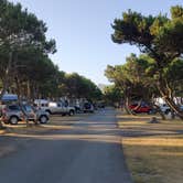 Review photo of Nehalem Bay State Park Campground by Rich M., August 25, 2019