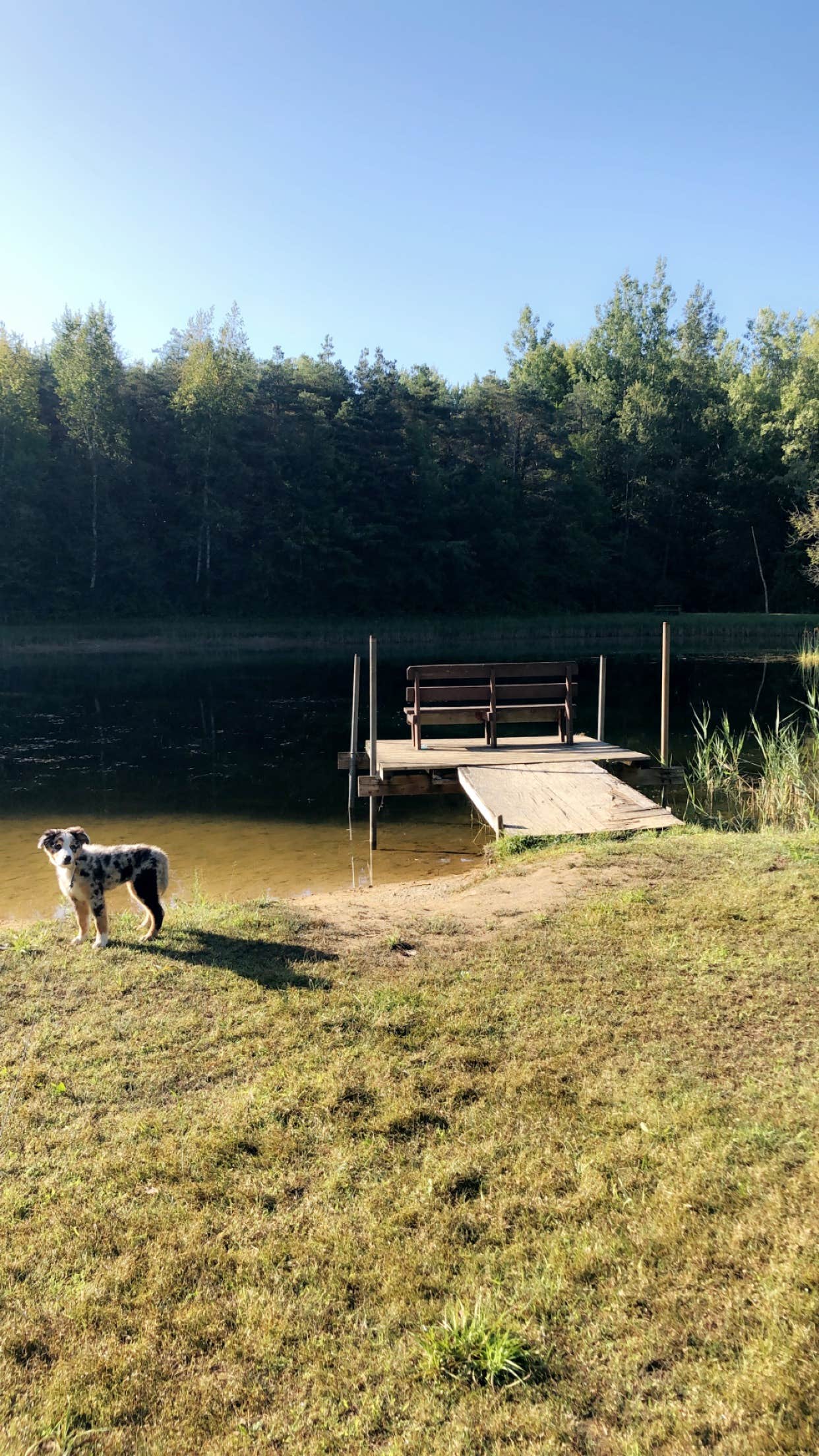 Camper-submitted photo at Berwagana Campground near Cass City, MI