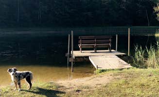 Katilyn P.'s photo of camping with pets at Berwagana Campground near Avoca, MI