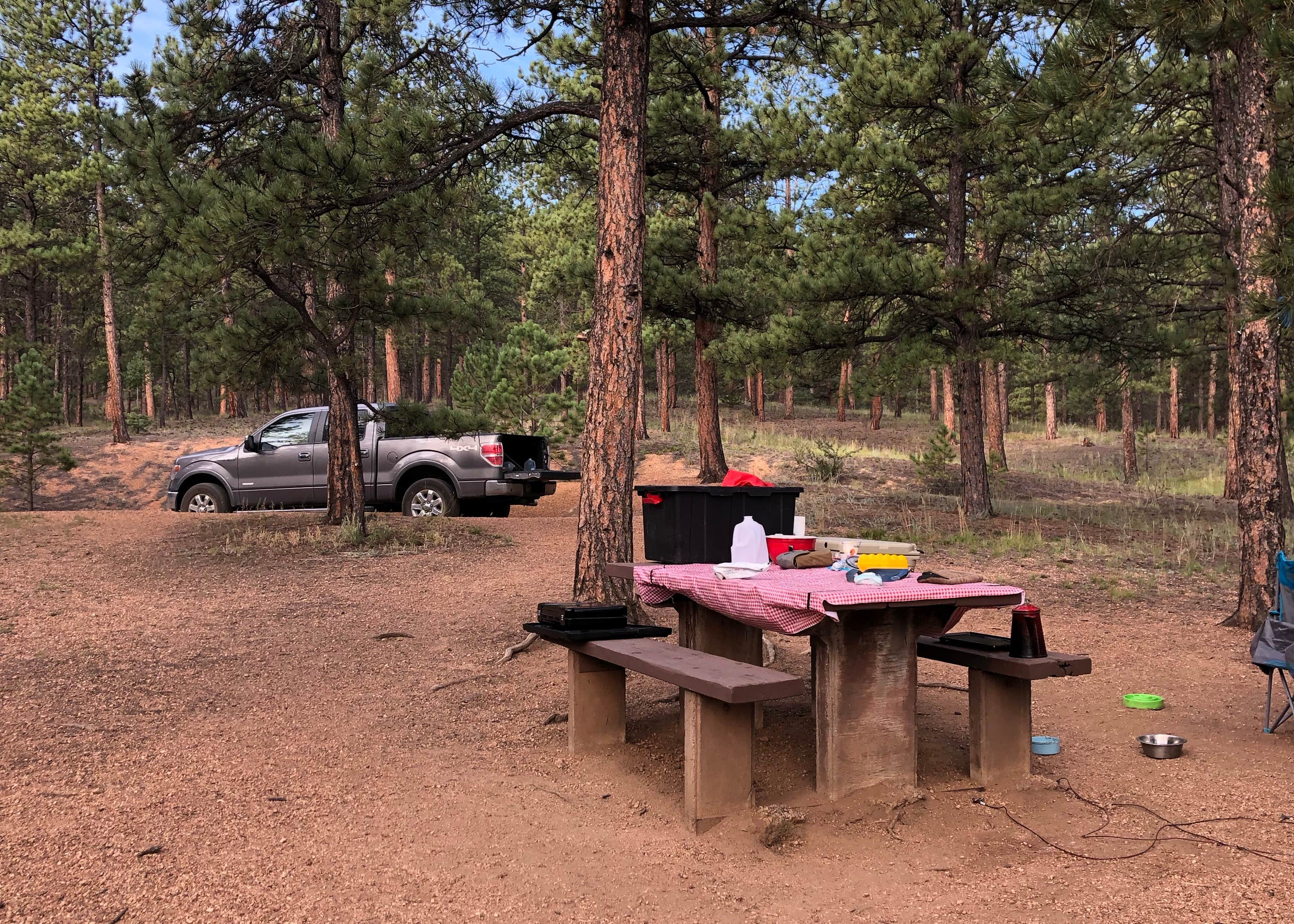 Blue Mountain Camping The Dyrt
