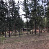 Review photo of Blue Mountain Campground by Courtney L., August 25, 2019