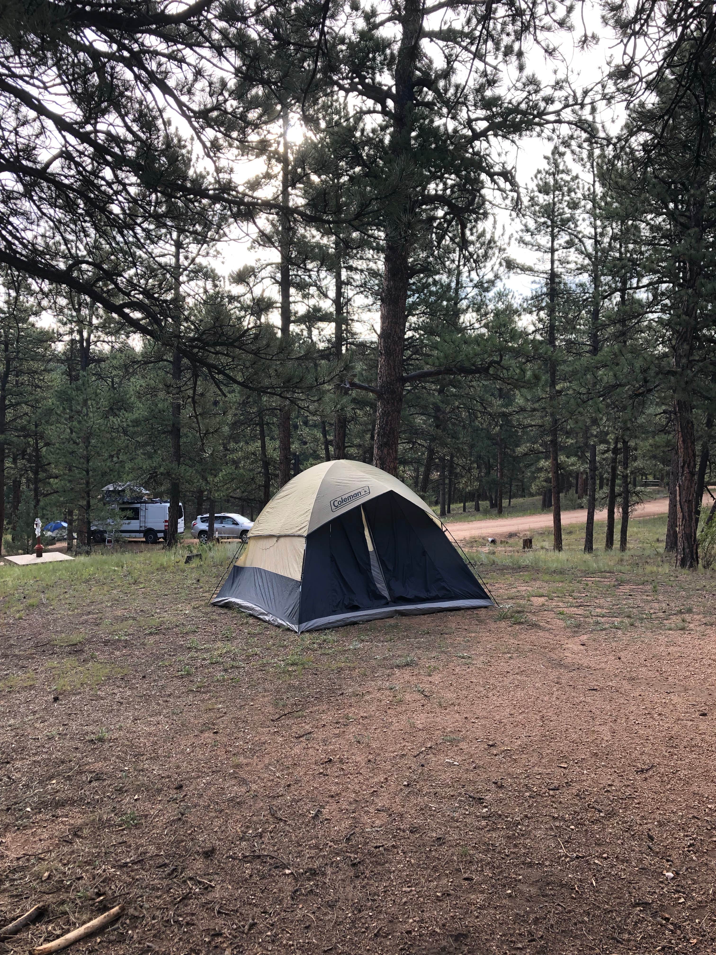 Courtney L.'s photo at Blue Mountain near Florissant, CO