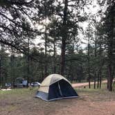 Review photo of Blue Mountain Campground by Courtney L., August 25, 2019