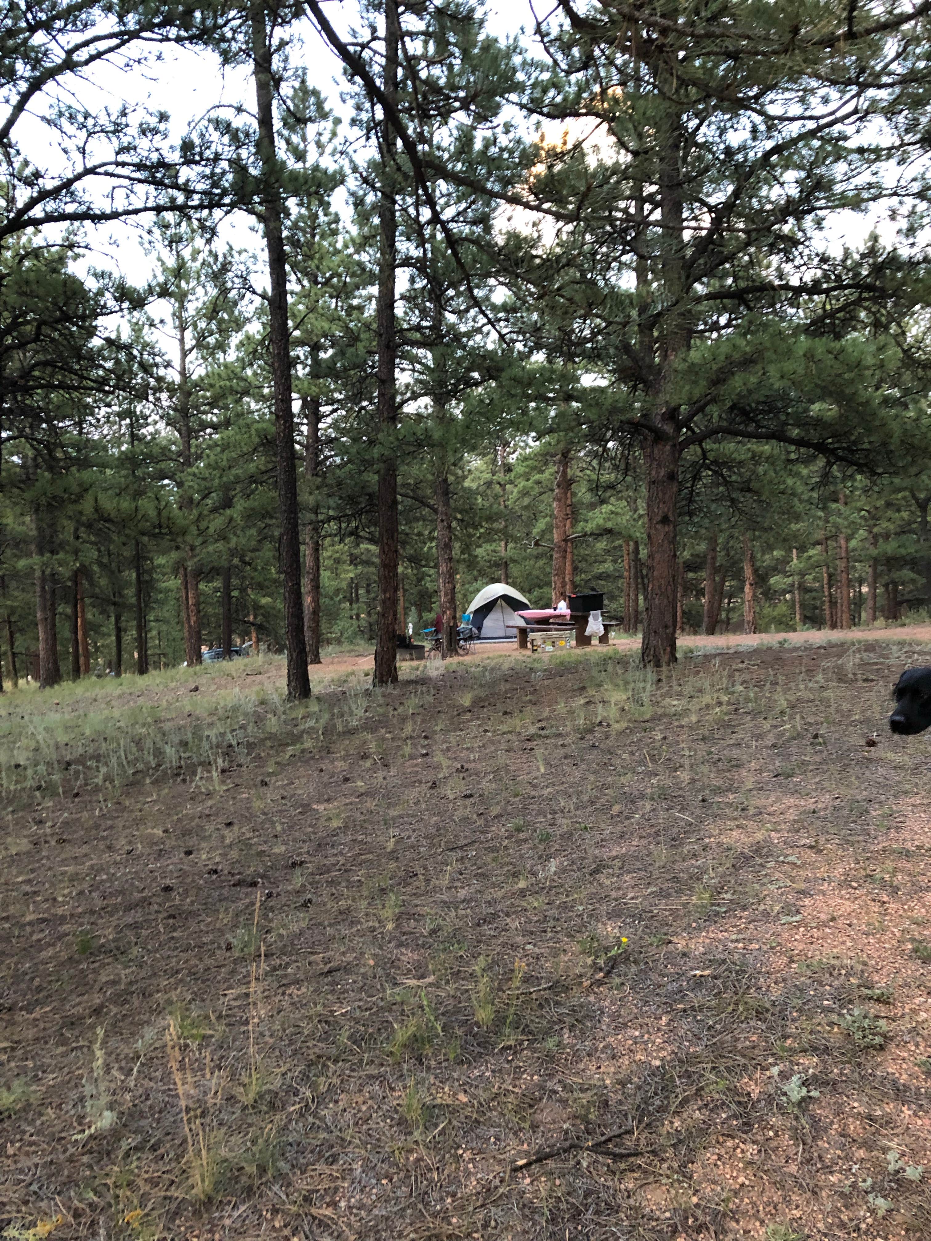 Courtney L.'s photo at Blue Mountain Campground near Lake George, CO