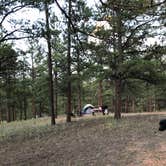 Review photo of Blue Mountain Campground by Courtney L., August 25, 2019