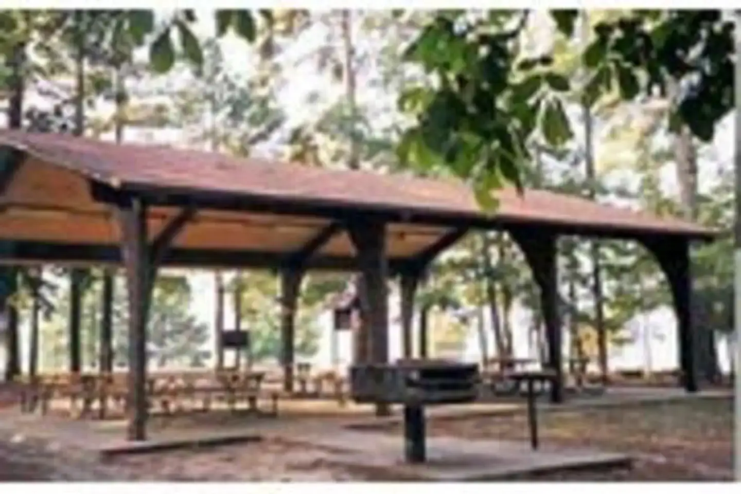 Camper-submitted photo at Arlie Moore - De Gray Lake near Murfreesboro, AR