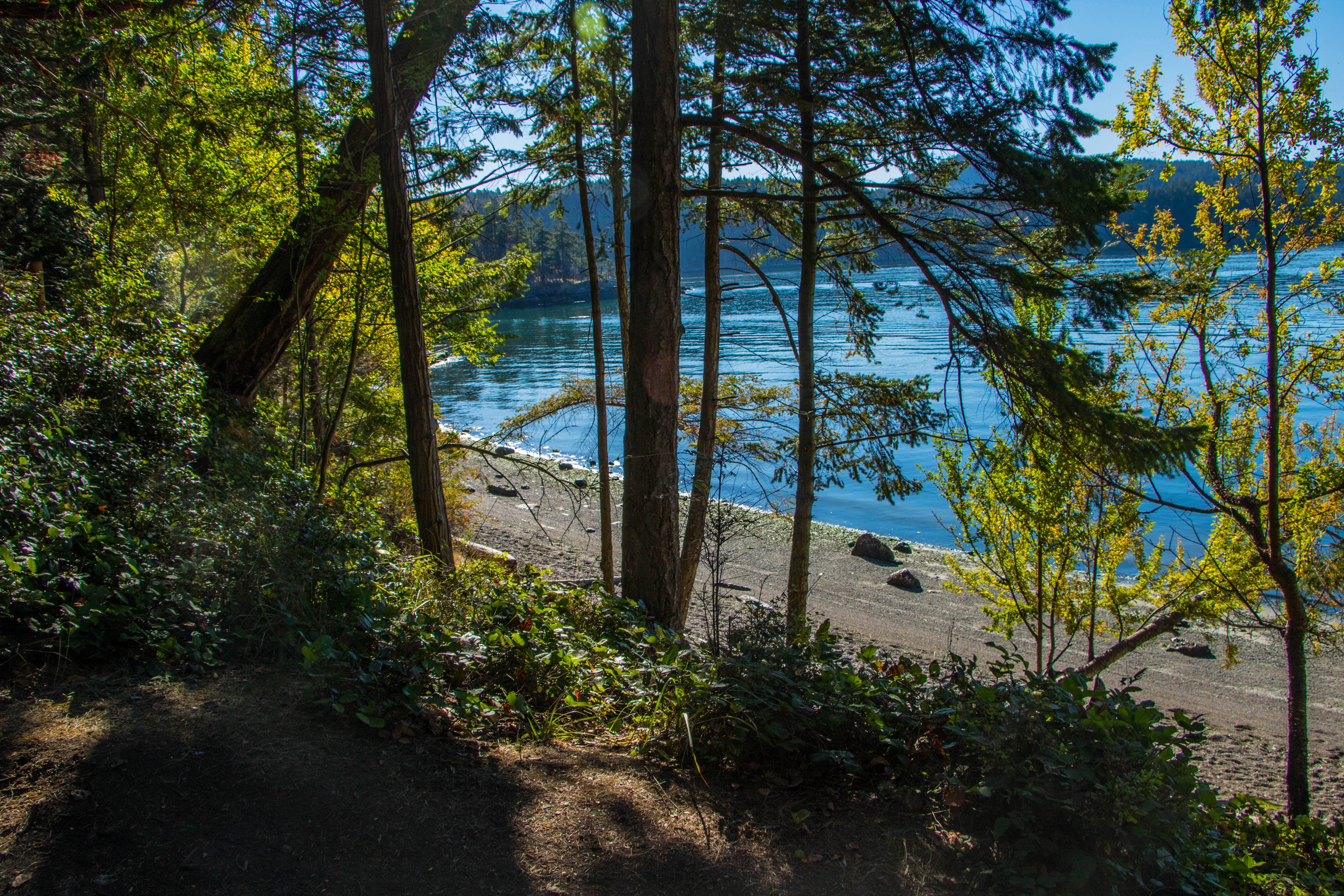 Camper-submitted photo at Obstruction Pass State Park Campground near Anacortes, WA