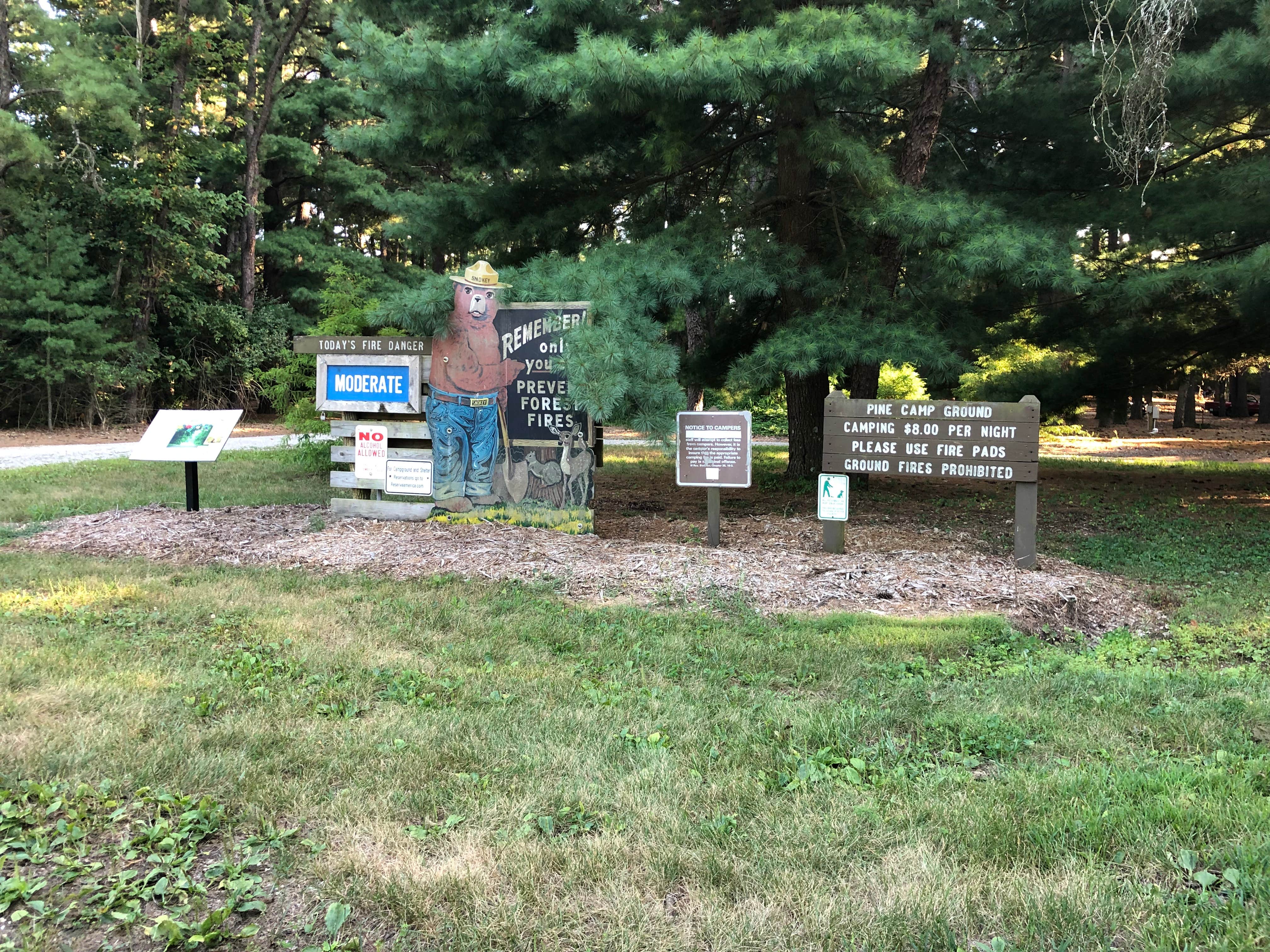Camper-submitted photo at Pine Campground — Sand Ridge State Forest near Bartonville, IL
