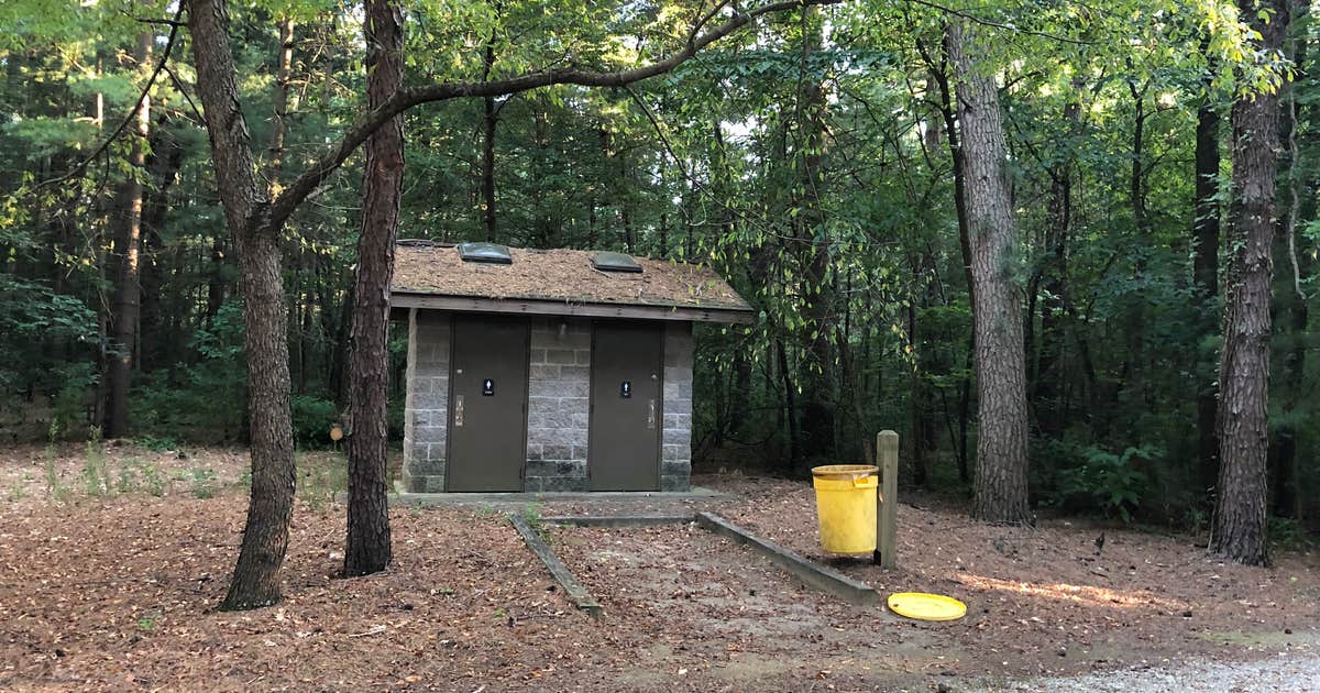 Pine Campground — Sand Ridge State Forest | Forest City, IL