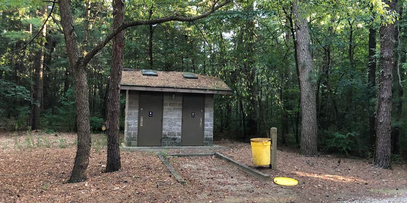 Camper submitted image from Pine Campground — Sand Ridge State Forest