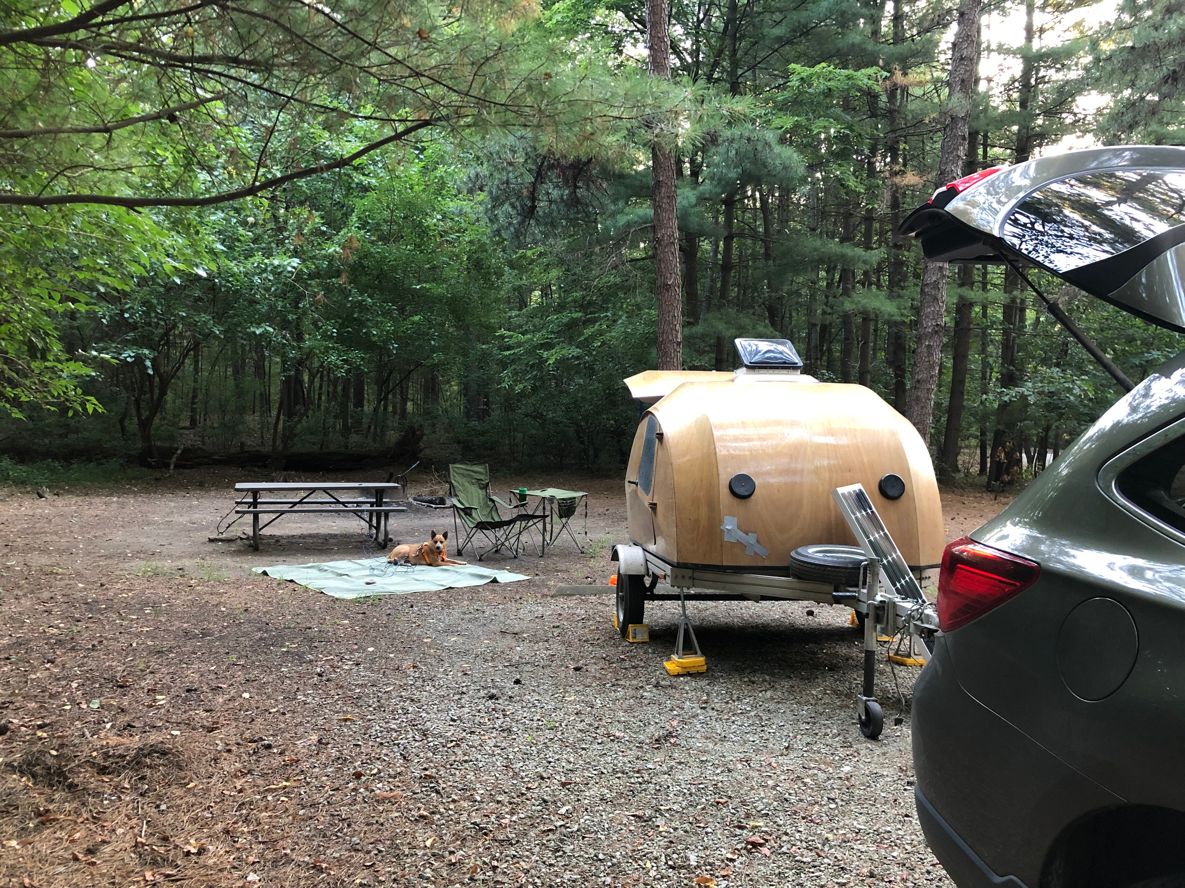 Camper submitted image from Pine Campground — Sand Ridge State Forest - 3