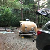 Review photo of Pine Campground — Sand Ridge State Forest by Art S., August 25, 2019