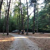 Review photo of Pine Campground — Sand Ridge State Forest by Art S., August 25, 2019