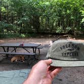 Review photo of Pine Campground — Sand Ridge State Forest by Art S., August 25, 2019