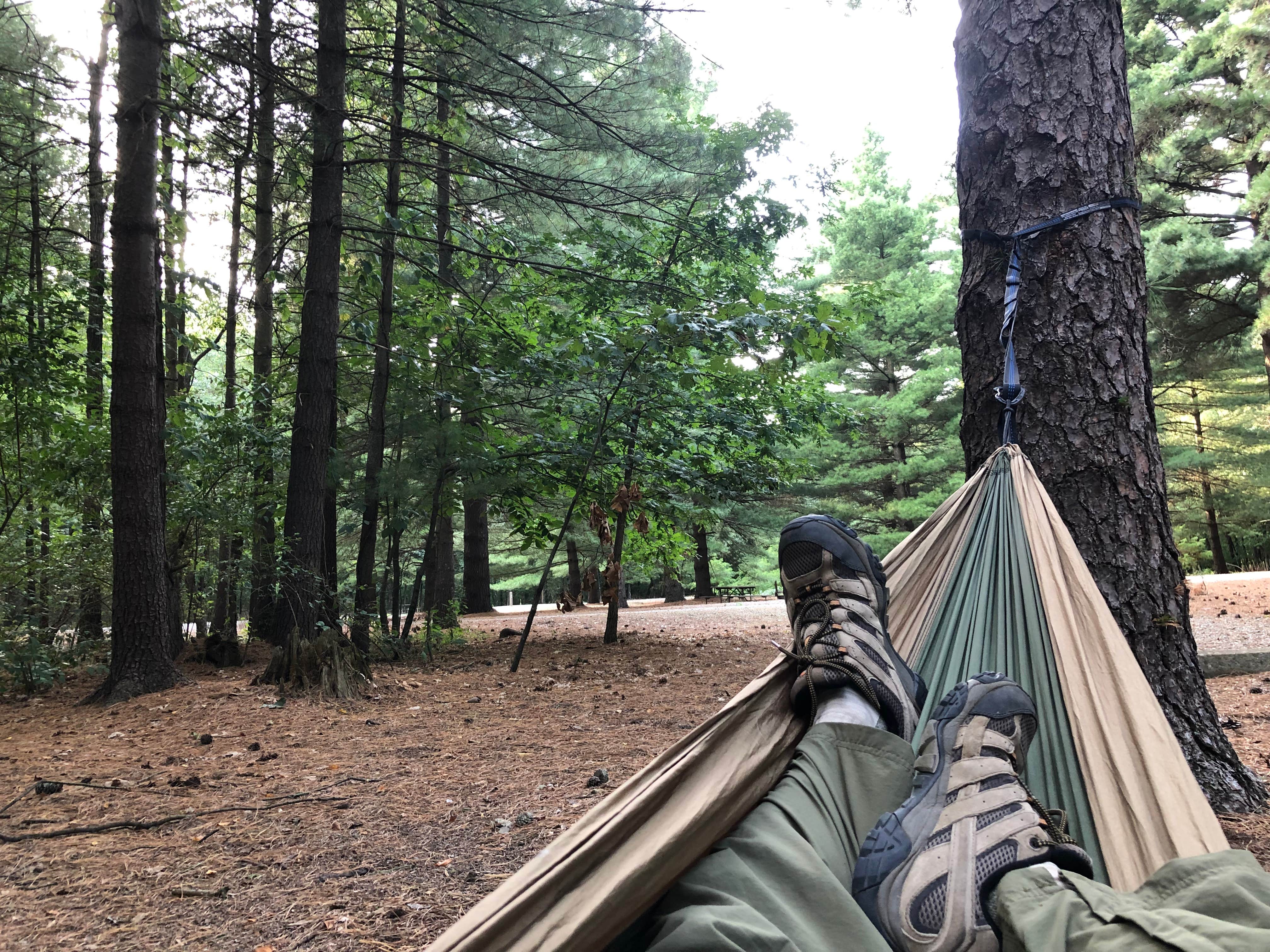 Camper-submitted photo at Pine Campground — Sand Ridge State Forest near Bartonville, IL
