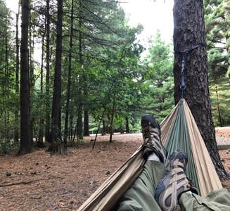Camper-submitted photo from Pine Campground — Sand Ridge State Forest