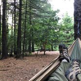 Review photo of Pine Campground — Sand Ridge State Forest by Art S., August 25, 2019