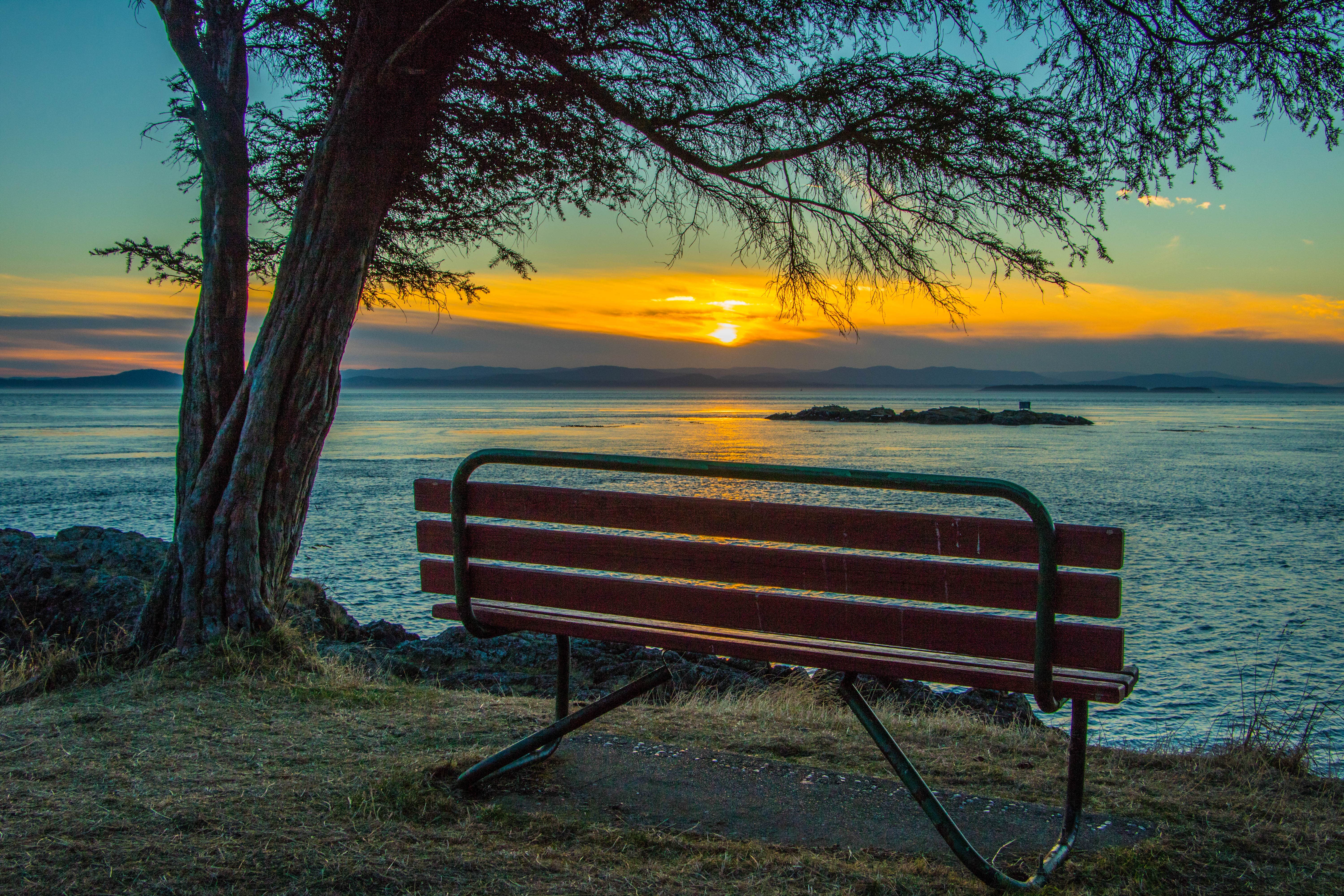 Camper submitted image from San Juan County Park - 3