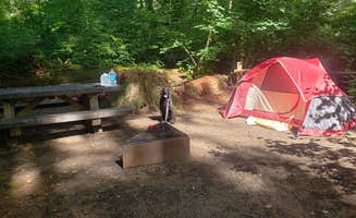 Christi L.'s photo of tent camping at Jones Creek near Buxton, OR