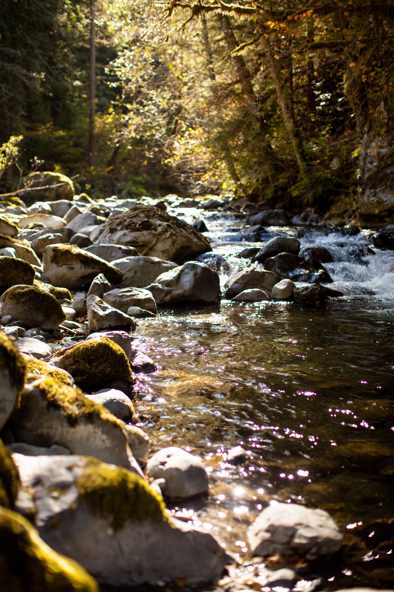 Camper submitted image from Falls View Campground - CLOSED UNTIL FURTHER NOTICE 3.4.21 - 1