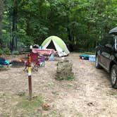 Review photo of Frontenac State Park by Megan  B., August 25, 2019