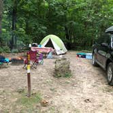 Review photo of Frontenac State Park Campground by Megan  B., August 25, 2019