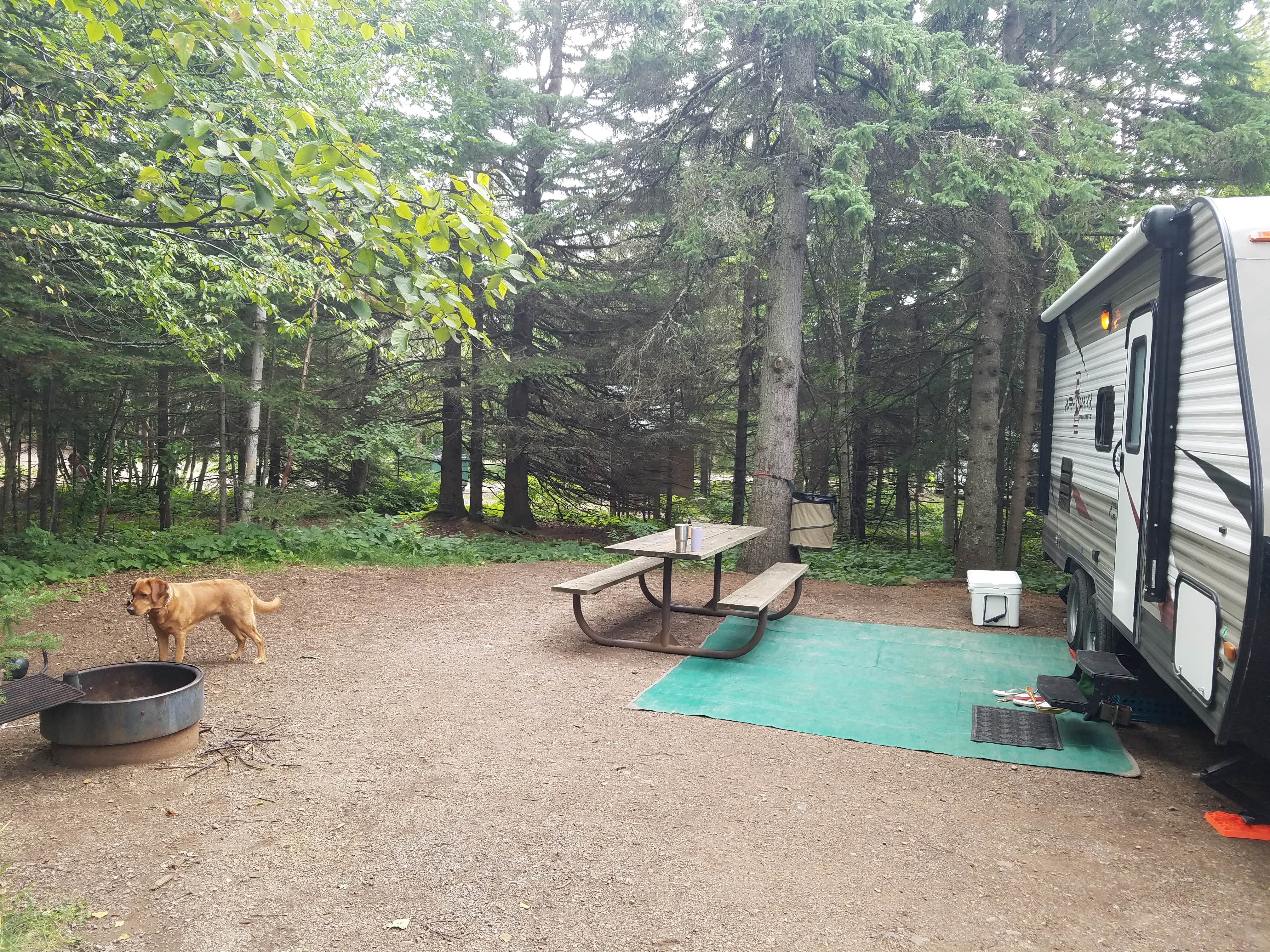 Melissa H.'s photo of camping with pets at Cascade River State Park Campground near Tofte, MN