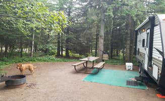 Melissa H.'s photo of camping with pets at Cascade River State Park Campground near Lutsen, MN