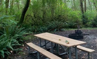 Camping near Mosquito Creek — Olympic National Park: Cottonwood Campground, Forks, Washington