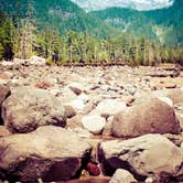 Review photo of Cougar Rock Campground — Mount Rainier National Park by Melissa  J., September 27, 2016