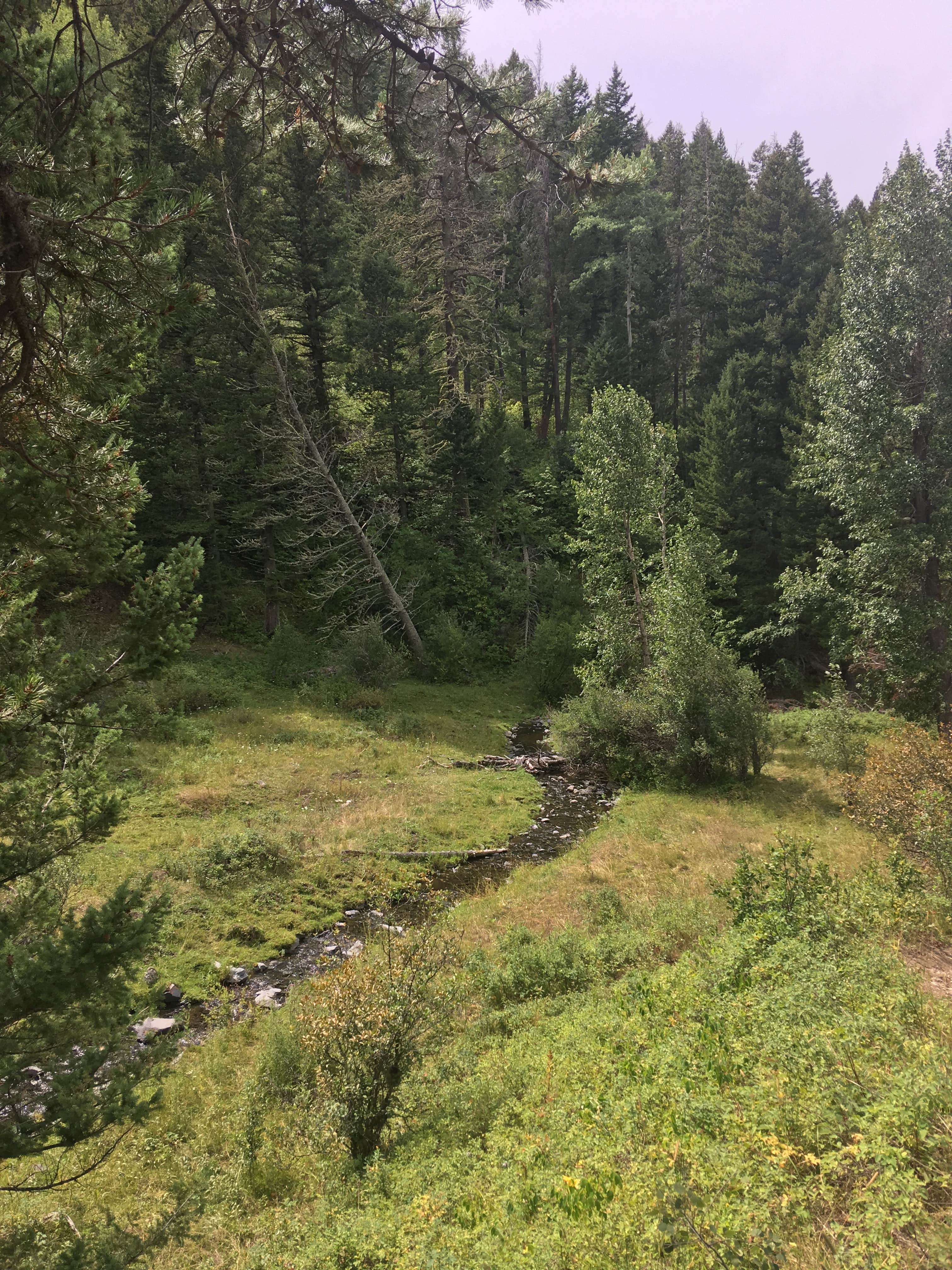 Camper-submitted photo at Thain Creek near Stanford, MT