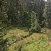 Review photo of Thain Creek by Alex K., August 25, 2019