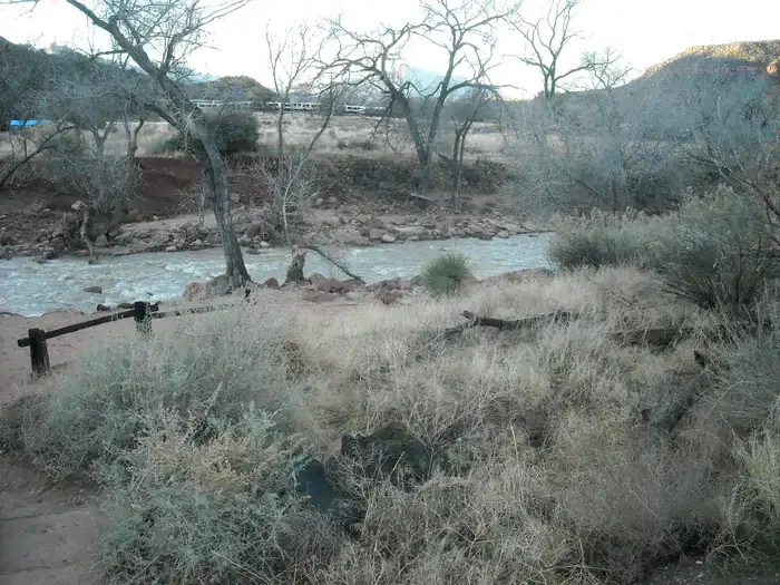 Camper-submitted photo at South Campground — Zion National Park near Rockville, UT
