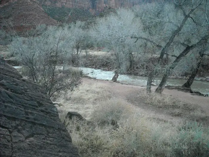 Camper-submitted photo at South Campground — Zion National Park near Rockville, UT