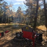 Review photo of Mueller State Park Campground by B B., August 19, 2019