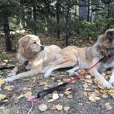 Review photo of Mueller State Park Campground by B B., August 19, 2019