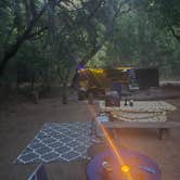 Review photo of Pfeiffer Big Sur State Park Campground by Ben C., November 13, 2025