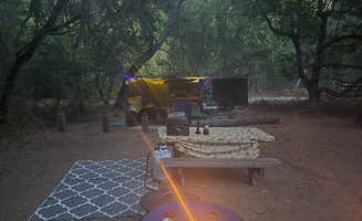 Ben C.'s photo of tent camping at Pfeiffer Big Sur State Park Campground near Castroville, CA